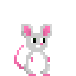 rat